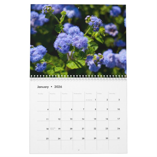 2011 Flora Calendar (Jan 2026)