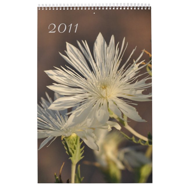 2011 Floral Calendar (Cover)
