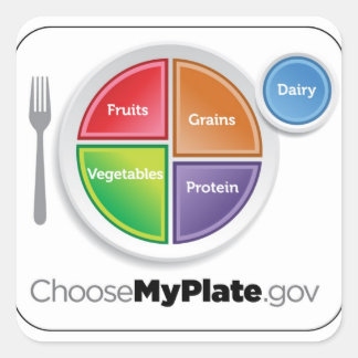 2011 Food Pyramid Choose My Plate sticker