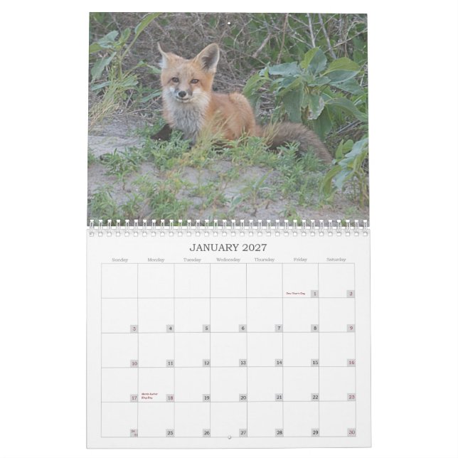 2011 Fox Calendar (Jan 2027)