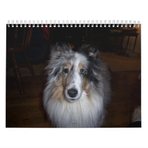 2011 Gallagher Calendar-Wheaton Calendar
