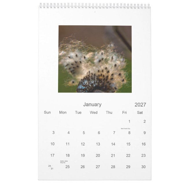 2011 Macros + Closeups (Vertical Calendar) Calendar (Jan 2027)