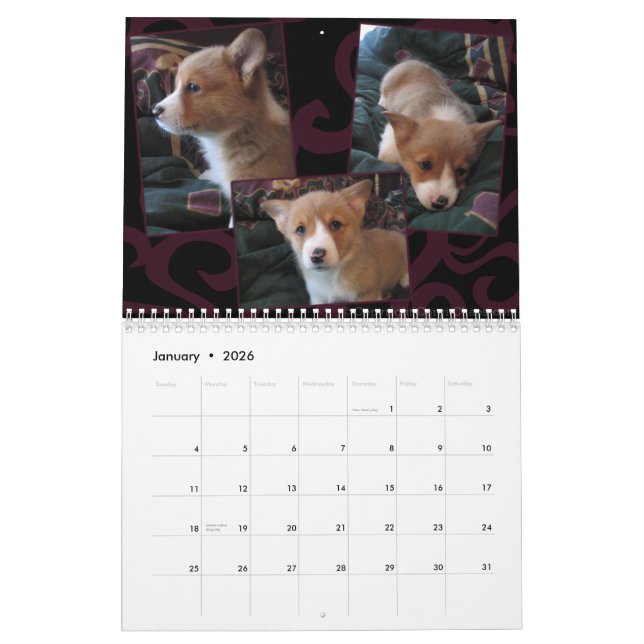 2011 Pembroke Welsh Corgi Calendar (Jan 2026)