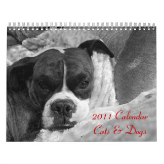2011 Pet Calendar: Cats & Dogs Calendar