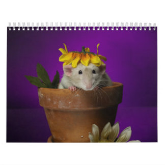 2011 rat calendar