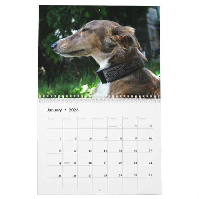 2011 Silken Windhounds 2011 (adults) Calendar (Jan 2026)