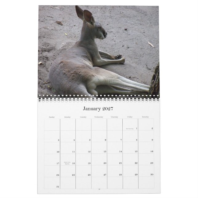 2011 Wildlife Calendar (Jan 2027)