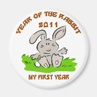 2011 Year of The Rabbit Baby