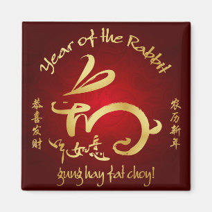 2011 Year of the Rabbit Chinese New Year Magnet
