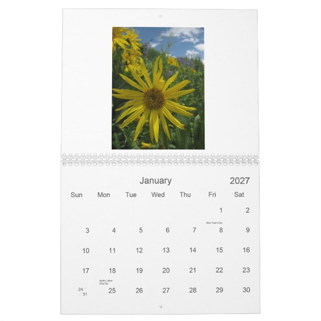 2012 Best of Crested Butte Wildflower Vistas Calendar (Jan 2027)