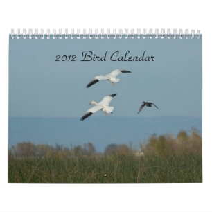 2012 BIRD CALENDAR