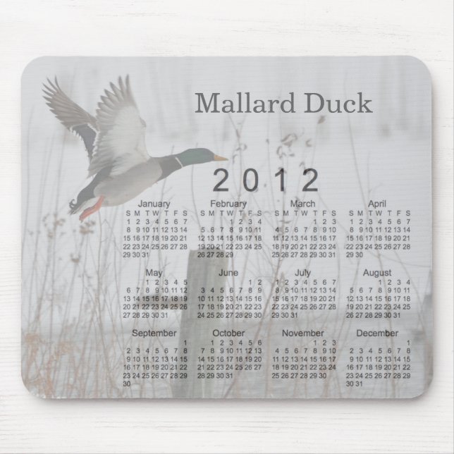 2012 Bird Calendar Mouse Mat (Front)
