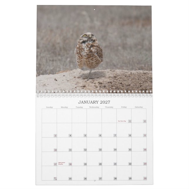 2012 Burrowing Owls Calendar (Jan 2027)