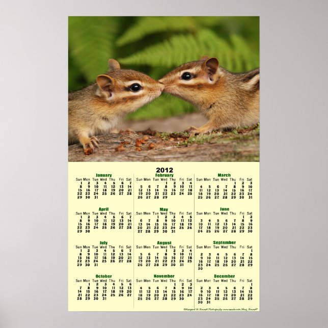 2012 Calendar - Baby Chipmunks Poster Calendar (Front)