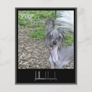 2012 calendar front cover