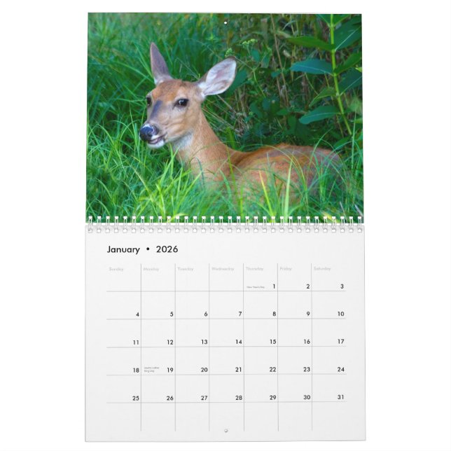 2012 Deer Lovers Calendar (Jan 2026)