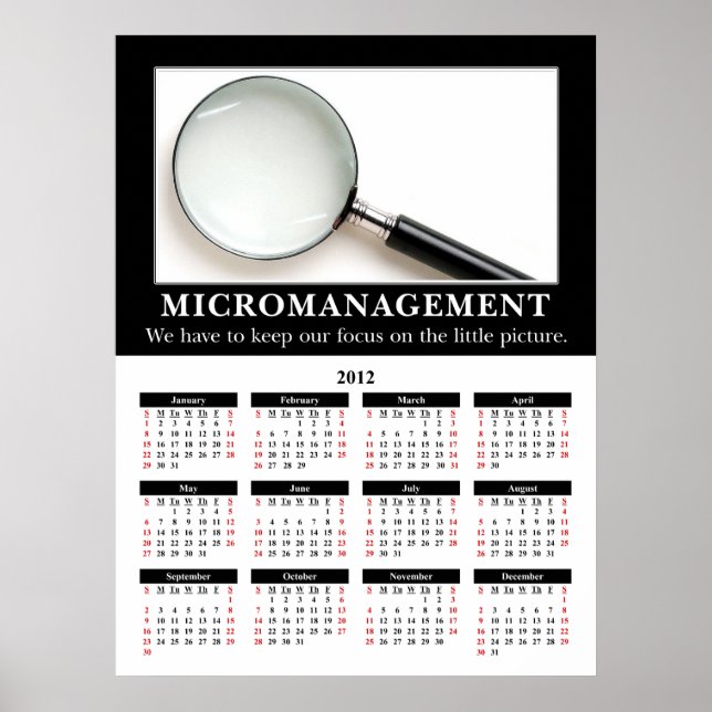 2012 Demotivational Wall Calendar: Micromanagement Poster (Front)