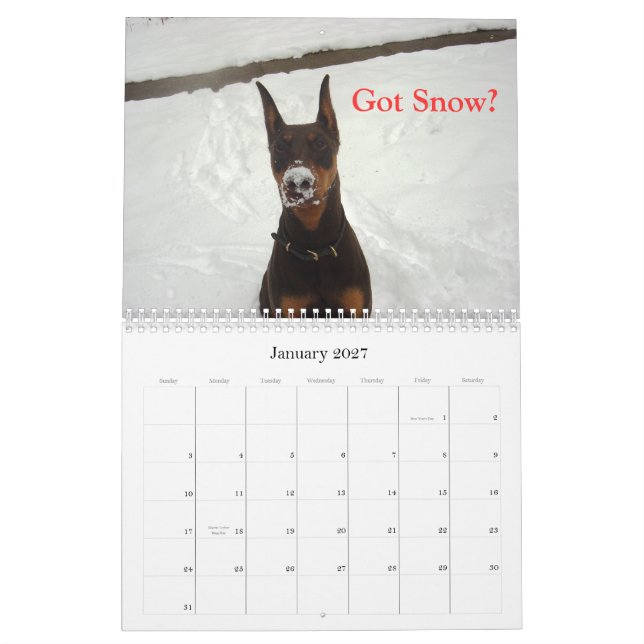 2012 Doberman Calendar (Jan 2027)