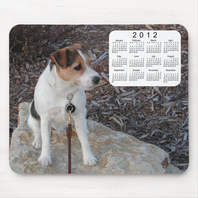 2012 Dog Calendar Mouse Mat (Front)