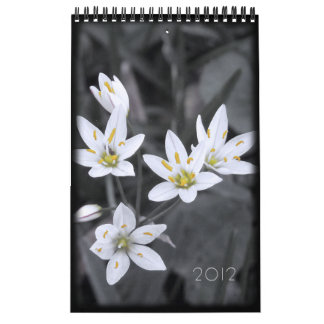 2012 Floral Calendar 12 single page months