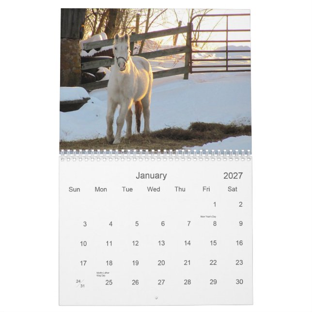 2012 Horse Calendar (Jan 2027)