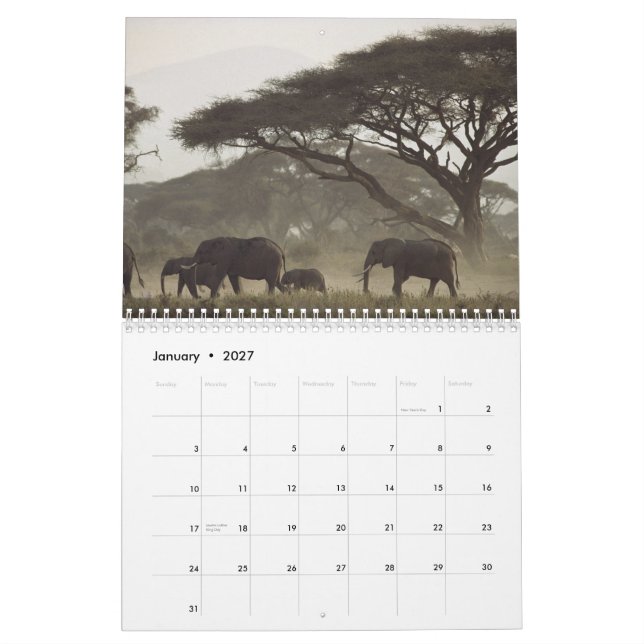 2012 Nature Calendar (Jan 2027)