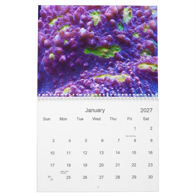 2012 Reef Serenity Calendar (Jan 2027)