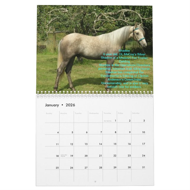 2012 RTR Horses Calendar (Jan 2026)