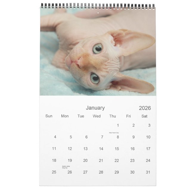 2012 Sphynx Calendar (Jan 2026)