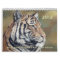 2012 Twelve Month Wildlife Art Calendar