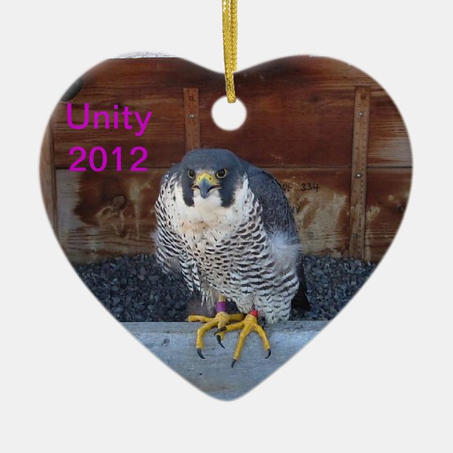 2012 Unity Ornament (Front)