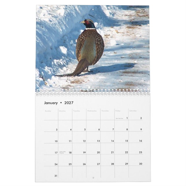2012 Wildlife Calendar (Jan 2027)