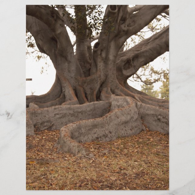 20130615_cal13_0249.jpg (Front)