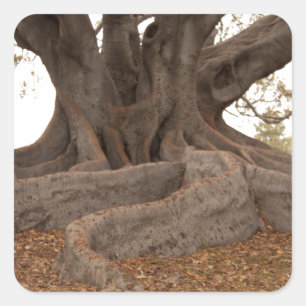 20130615_cal13_0249.jpg square sticker