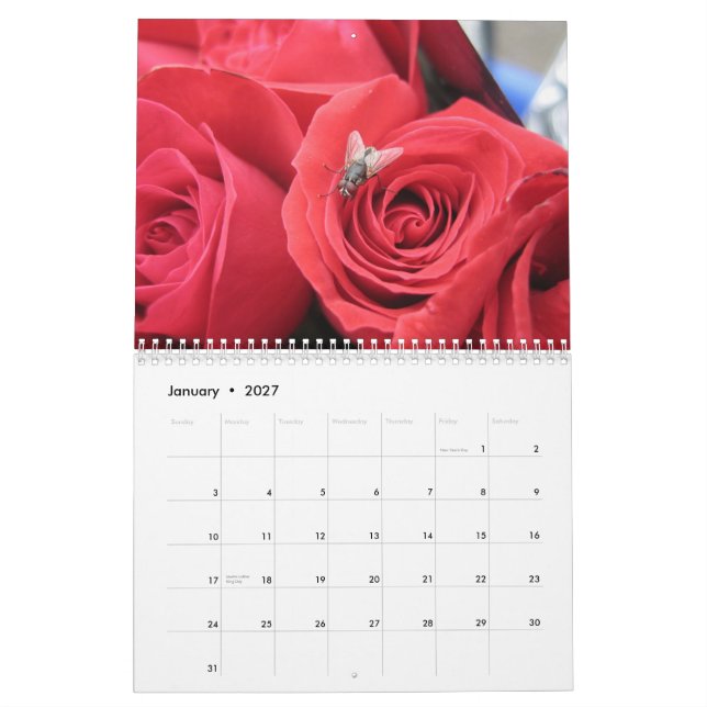 2013-14 Bug Lover's 12 Month Calendar - EGSO (Jan 2027)