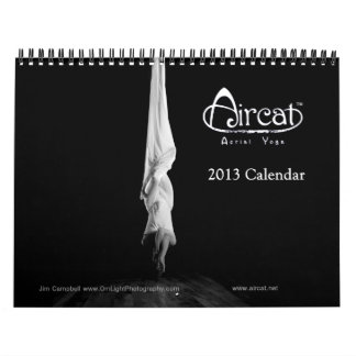 2013 Aircat Aerial Yoga Calendar
