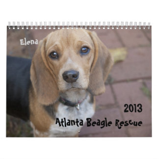 2013 Atlanta Beagle Rescue Calendar