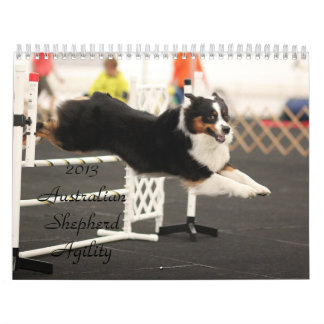 2013 Australian Shepherd Agility Calendar