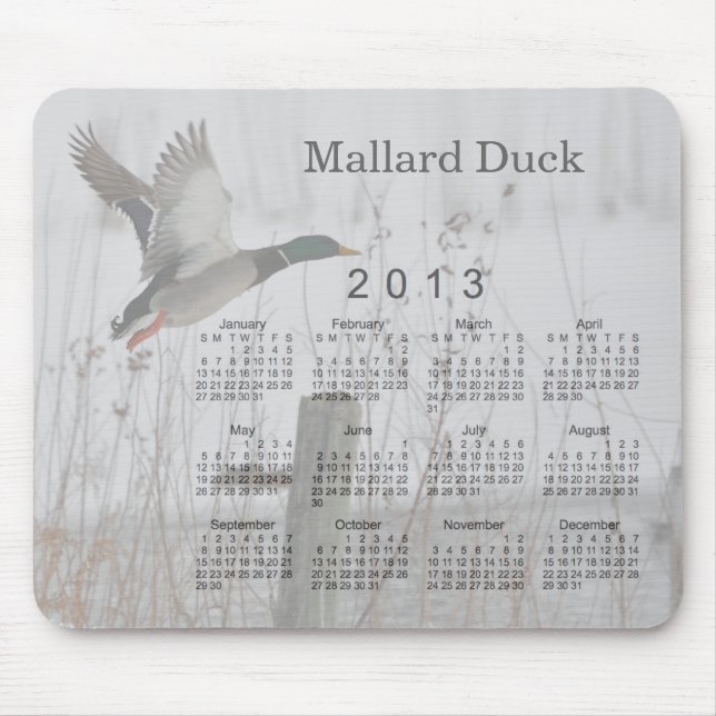 2013 Bird Calendar Mouse Mat (Front)