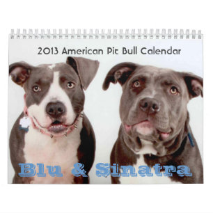 2013 Blu & Sinatra Calendar