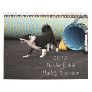 2013 Border Collie Agility Calendar