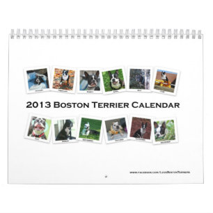 2013 Boston Terrier Calendar