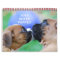 2013 Boxer Puppy Calendar