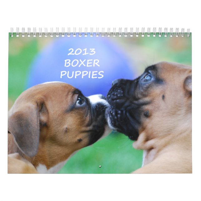 2013 Boxer Puppy Calendar (Cover)
