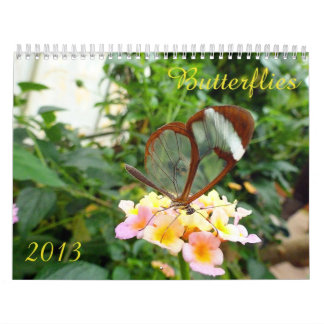 2013 Butterfly Calendar