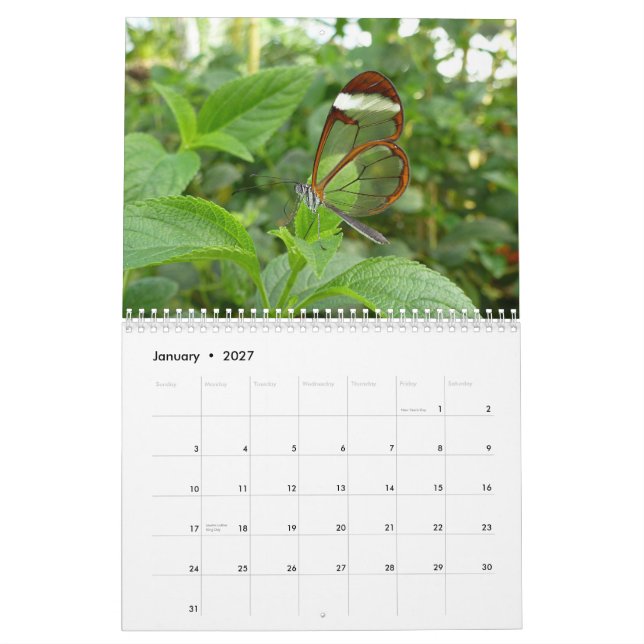 2013 Butterfly Calendar (Jan 2027)