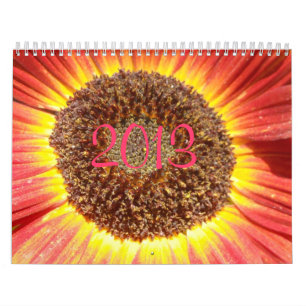 2013 calendar