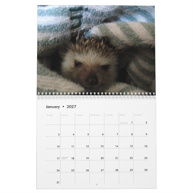 2013 Calendar 2 (Jan 2027)