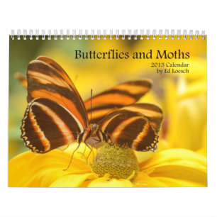 2013 Calendar - Butterflies and Moths