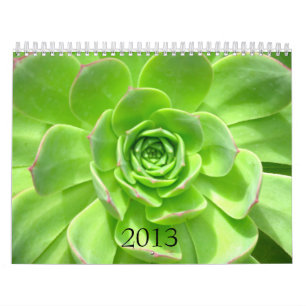 2013 Calendar  - Nature